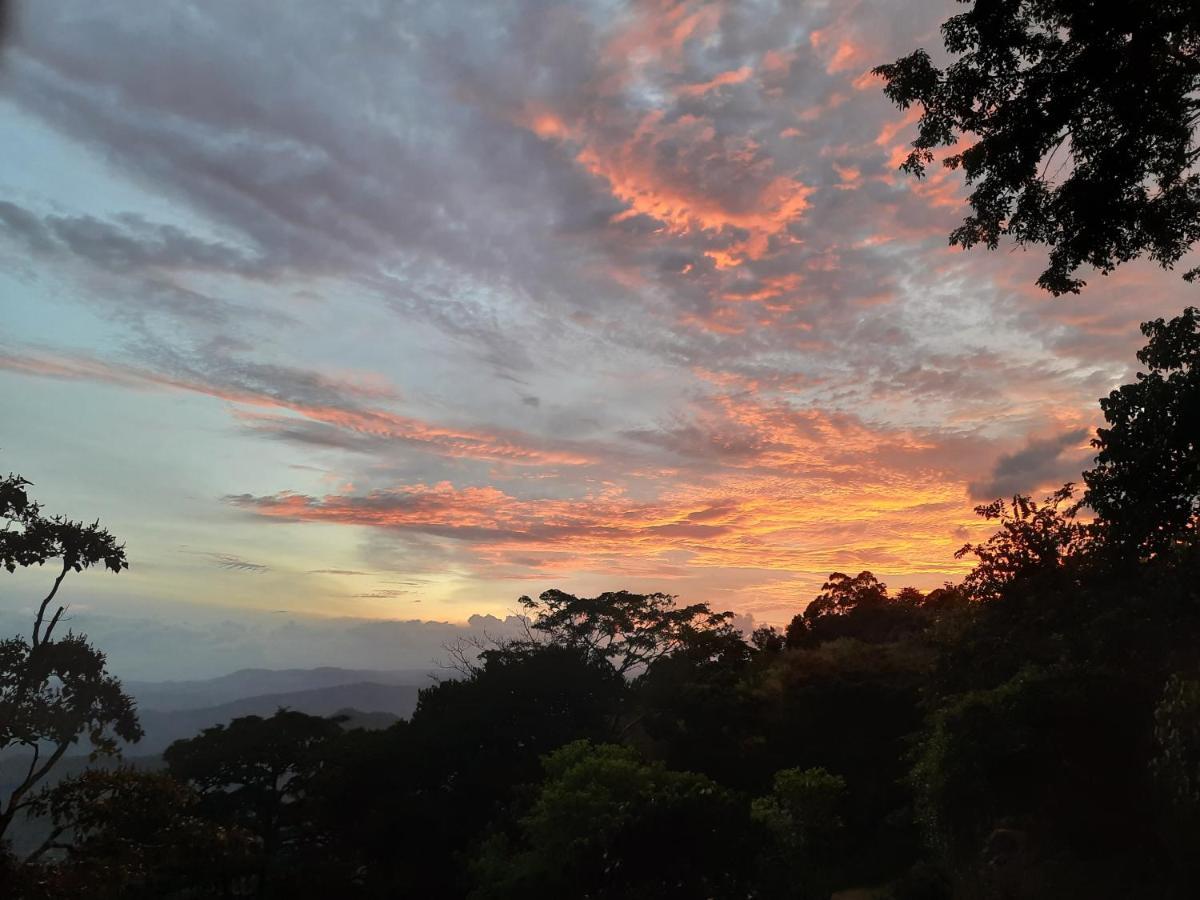 Glenmyu Estate *