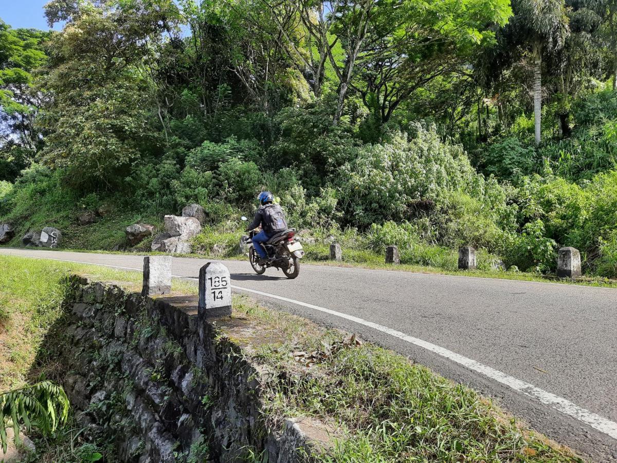 Glenmyu Estate * Haputale