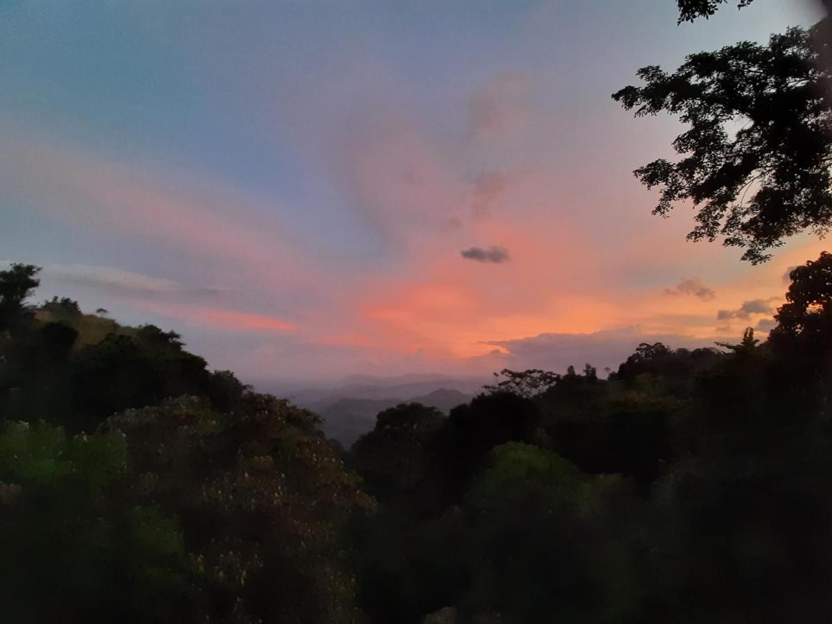 Glenmyu Estate *