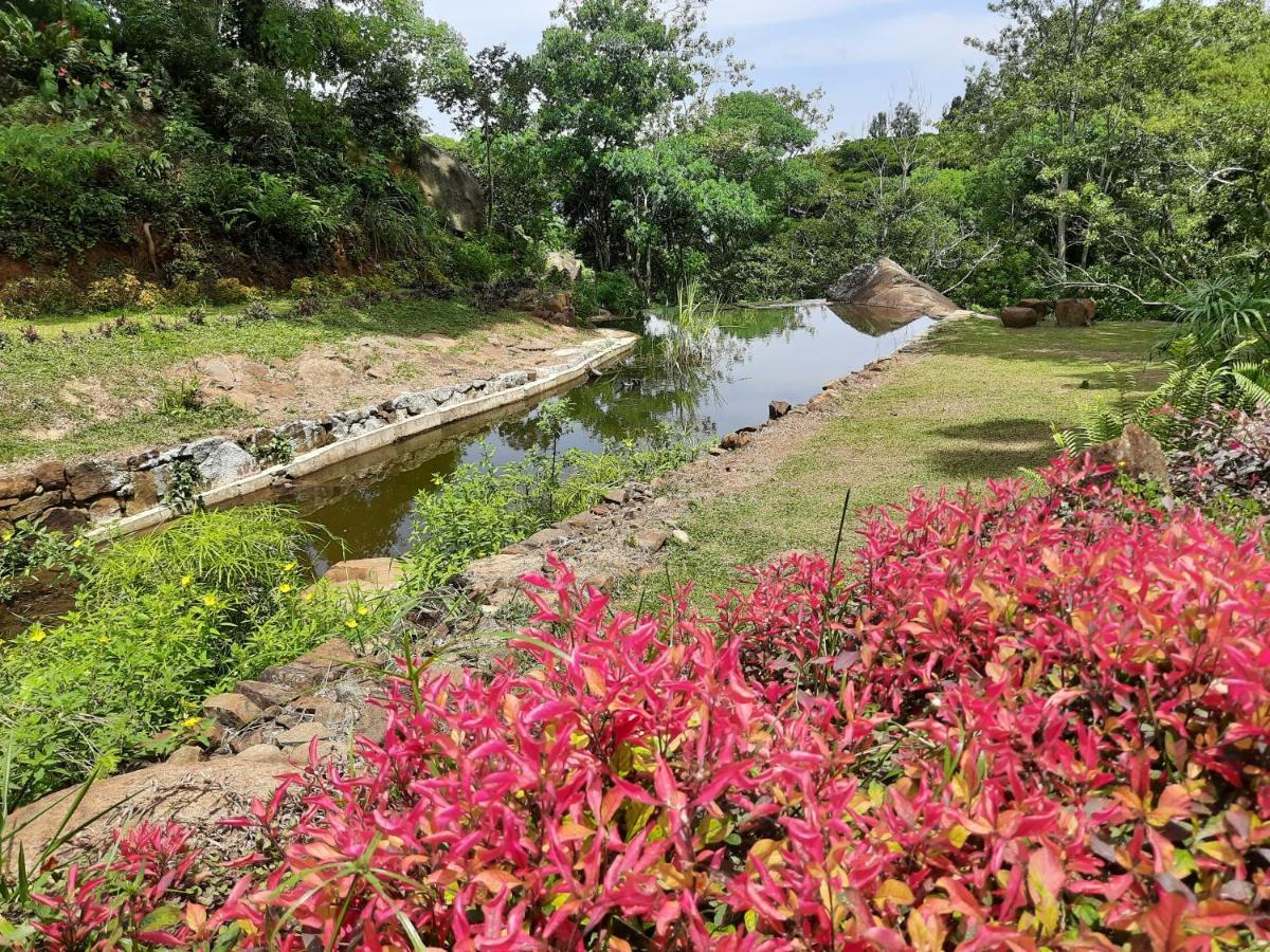 Glenmyu Estate * Haputale