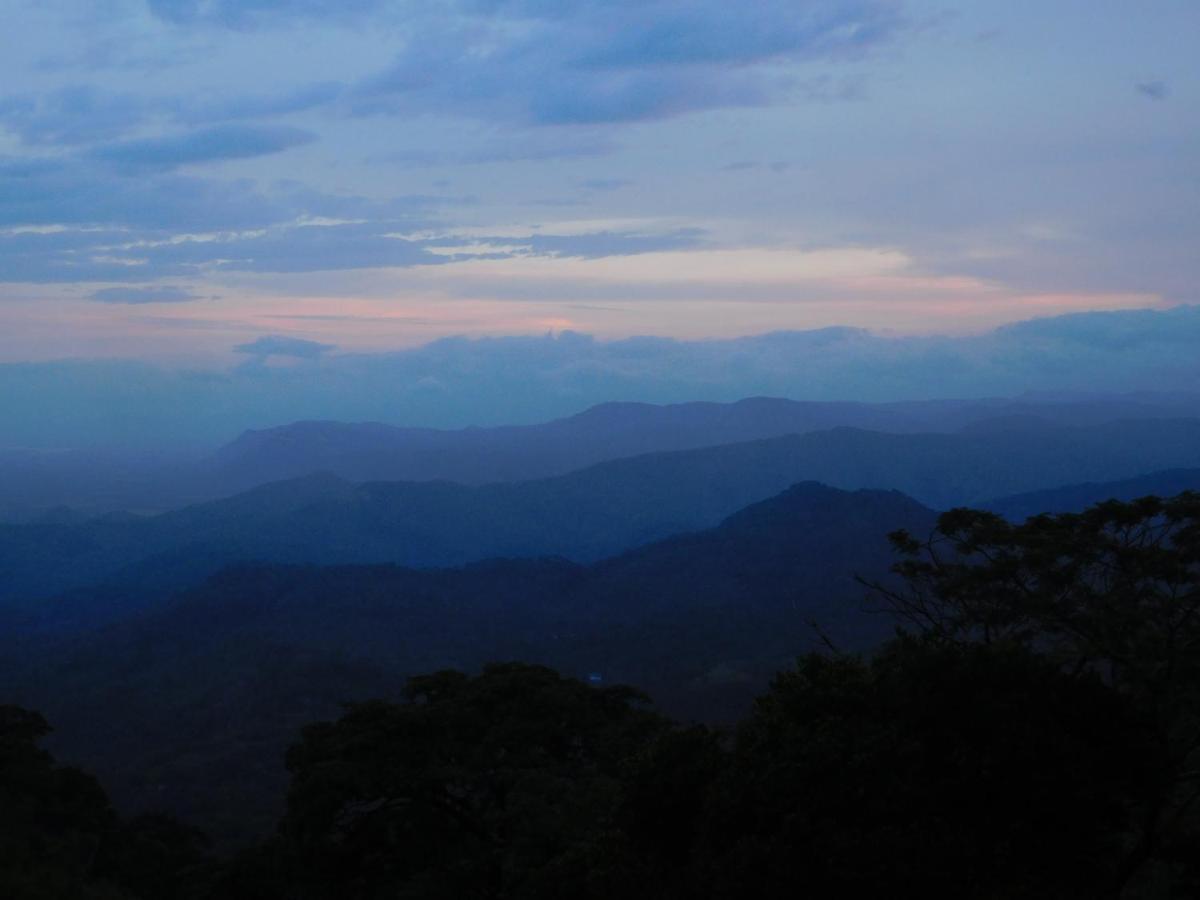 Glenmyu Estate Homestay