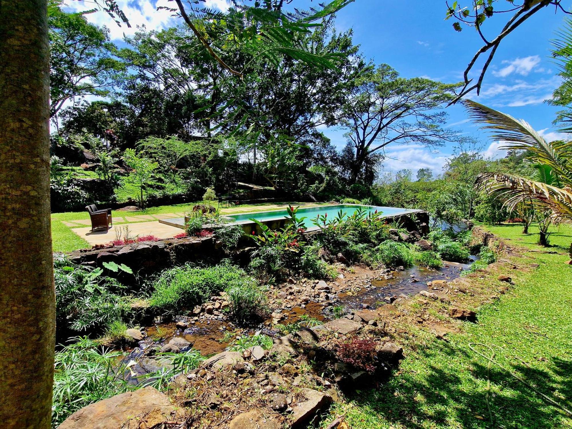Glenmyu Estate * Haputale
