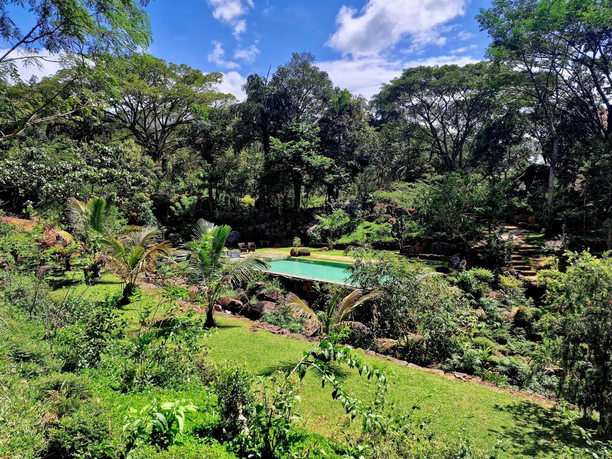Glenmyu Estate Haputale