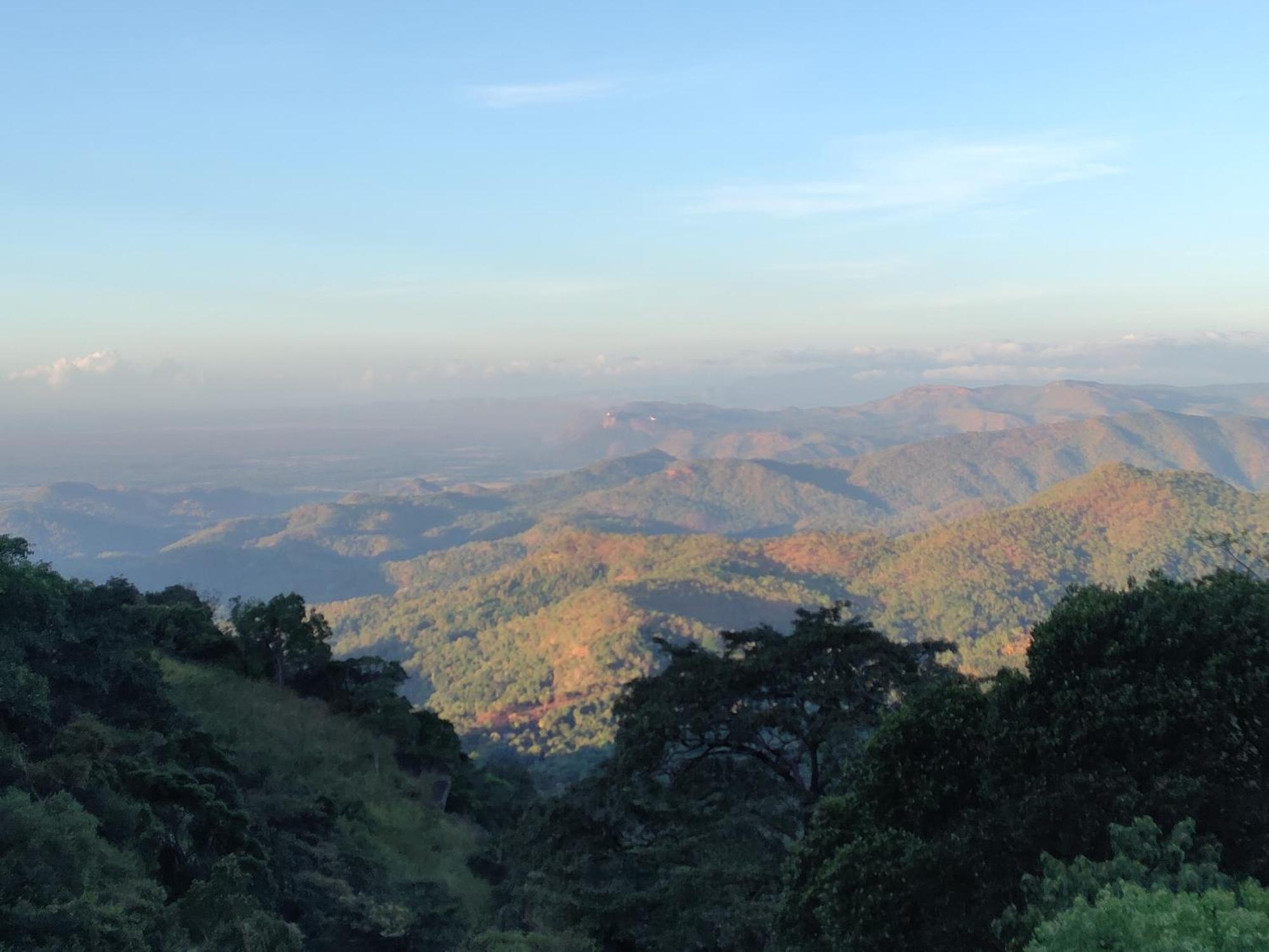 Glenmyu Estate